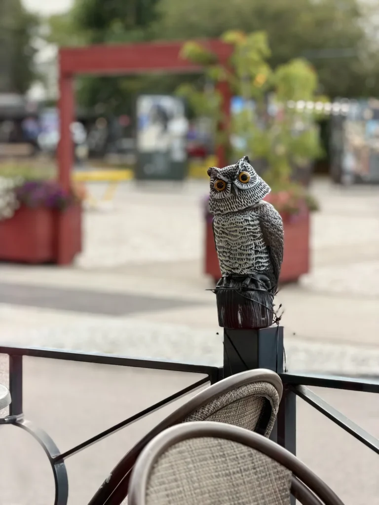 Eine Eulenfigur als Vogelschreck sitzt auf dem Geländer einer Café-Terrasse in Älmhult, dahinter ein roter Torbogen und Blumenkästen.