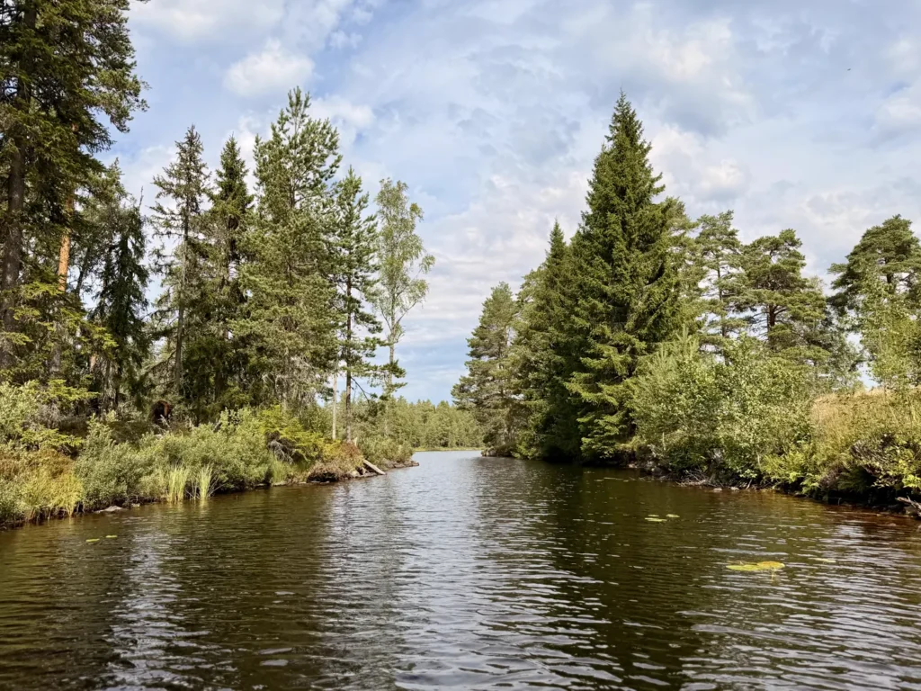 Schmale Wasserpassage zwischen zwei bewachsenen Ufern auf dem Långvattnet