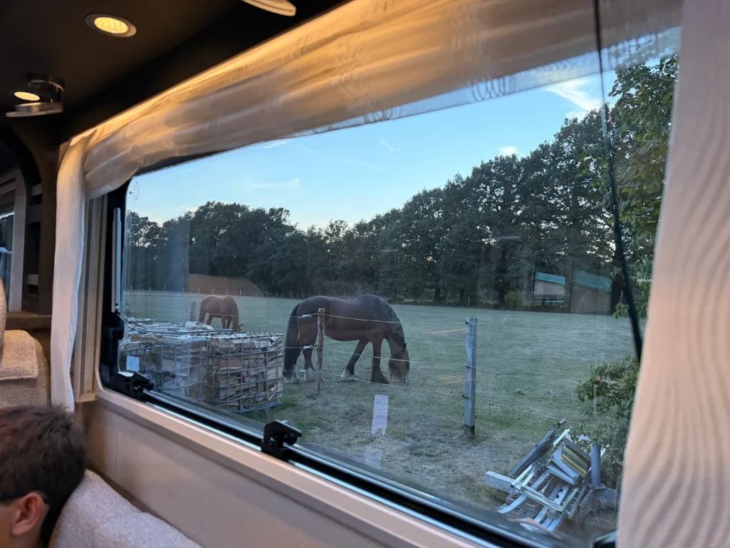 Blick aus dem Fenster des Wohnmobils auf die angrenzende Koppel, auf der zwei Pferde grasen.