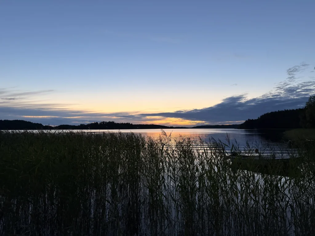 Sonnenuntergang über dem See, im Vordergrund Schilf, am Horizont bewaldete Ufer.