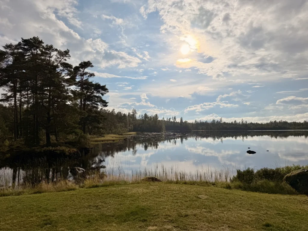 Der Kvarnsjön liegt spiegelglatt in der Nachmittagssonne, links eine Landzunge mit hohen Kiefern, im Vordergrund die gemähte Wiese des Campingplatzes.