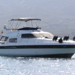 Eine weiße Motorjacht mit dunklem Rumpf liegt vor einer bewaldeten Küste ruhig im Wasser.