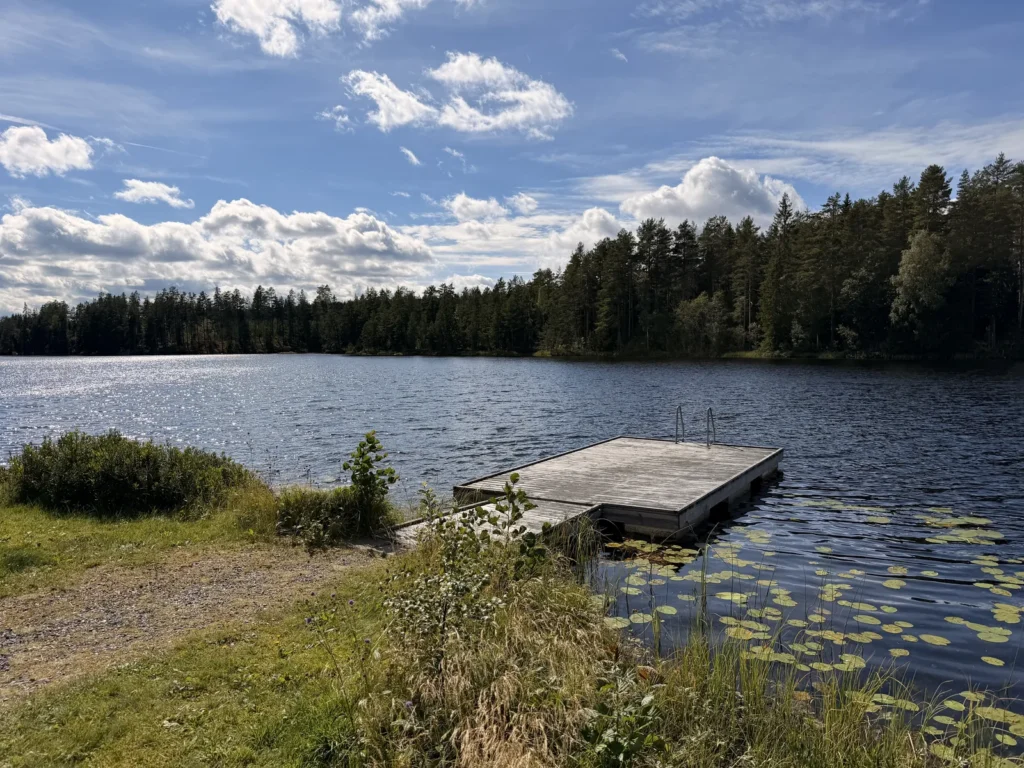 Hölzerner Badesteg mit Badeleiter ragt in den See, im Vordergrund Seerosenblätter, am Ufer dichter Nadelwald.