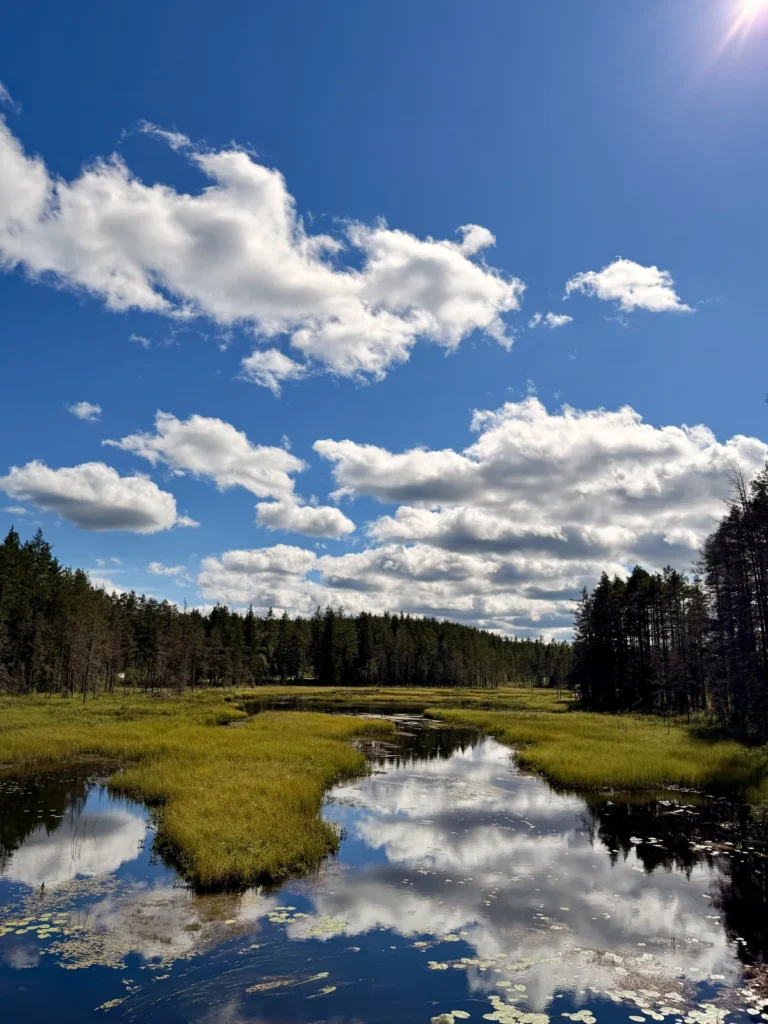 Ein schmaler Flusslauf mit Schilfinseln, in der ruhigen Wasseroberfläche spiegeln sich Wolken und Himmel.