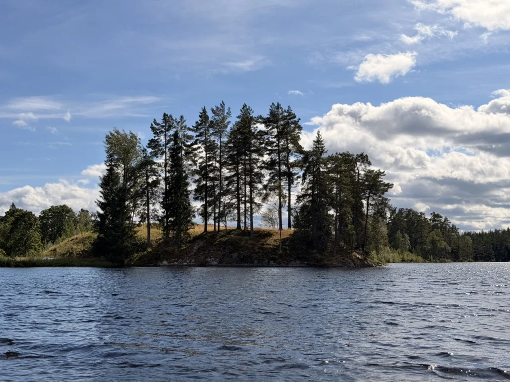 Eine kleine bewaldete Landzunge mit hohen Kiefern ragt in den See, darüber Schönwetterwolken.