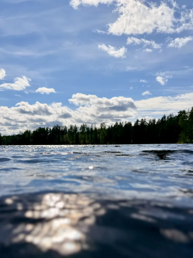 Blick knapp über die bewegte Wasseroberfläche des Sees hinweg auf den Nadelwald am gegenüberliegenden Ufer.