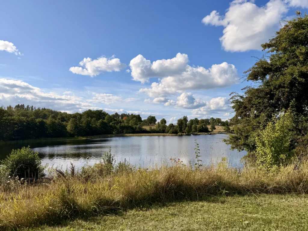 Blick von der Wiese über den See Åsunden, am gegenüberliegenden Ufer Wald und Weiden unter einem Himmel mit Quellwolken.