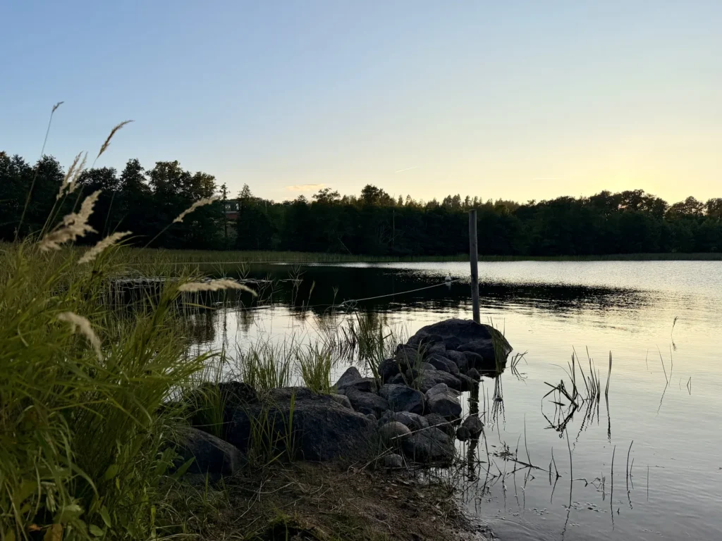 Mit Steinen befestigtes Ufer des Åsunden im Abendlicht, ein Holzpfahl steht im Wasser, im Vordergrund hohes Gras.