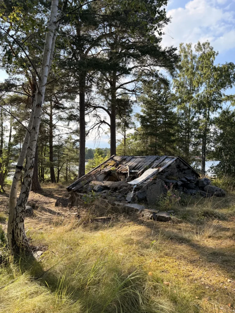 Eine verfallene Hütte aus Stein und Holz steht zwischen Kiefern und Birken, das Dach ist eingebrochen.