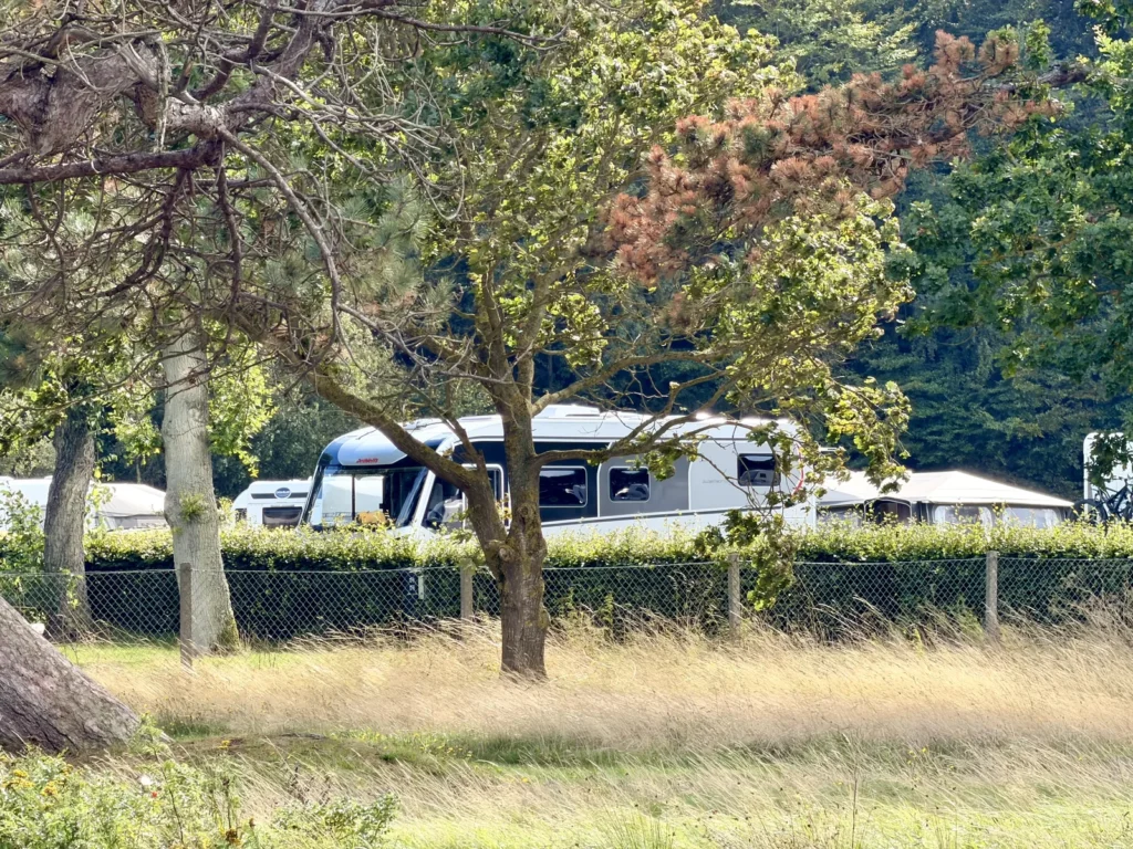 Blick aus dem Wildpark über hohes Gras und einen Maschendrahtzaun auf einen Wohnwagen hinter der Hecke des Campingplatzes.