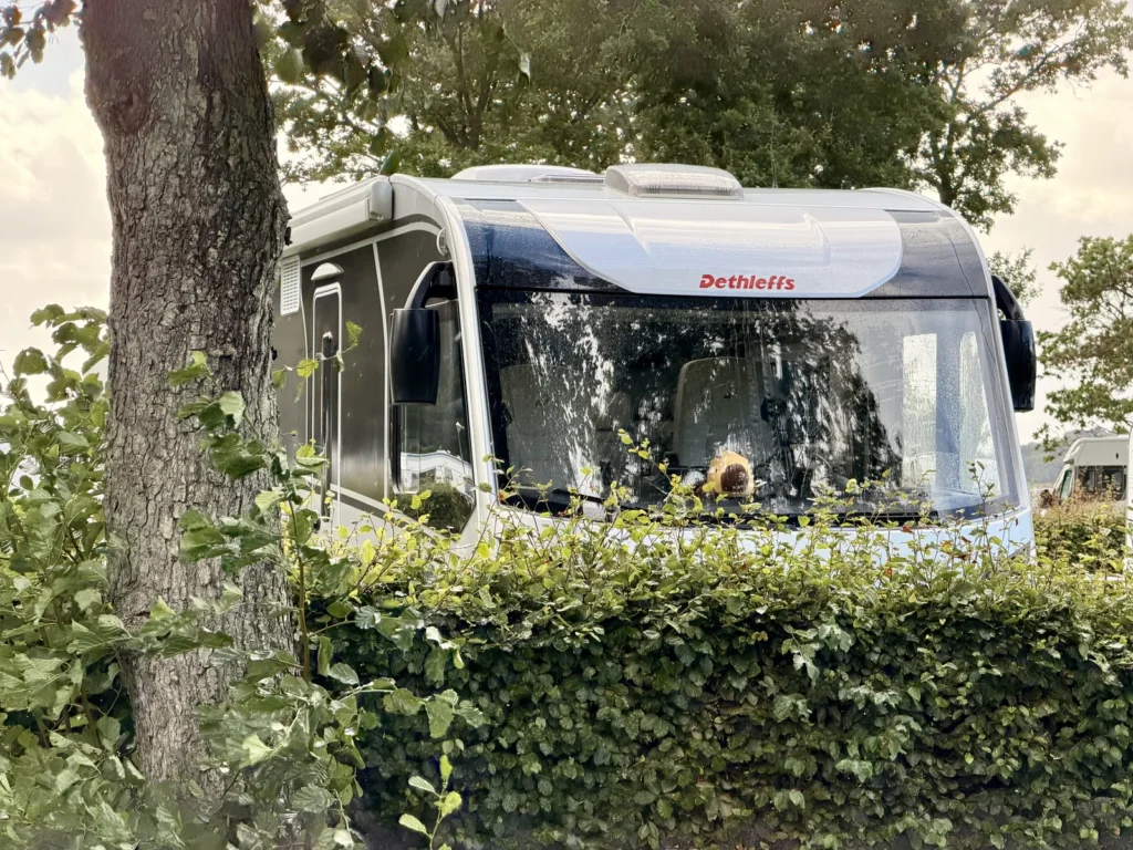 Lunas Frontscheibe mit Regentropfen hinter einer Buchenhecke und einem Baumstamm, hinter der Scheibe sitzt das Maskottchen.