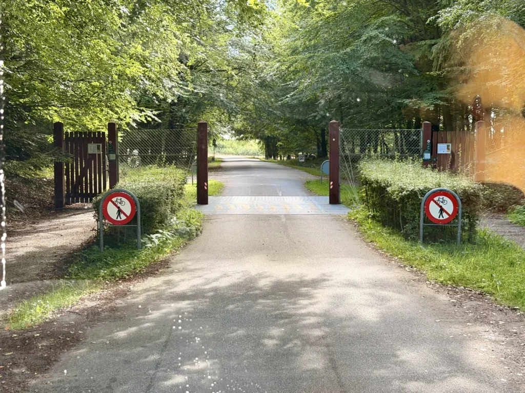 Schmale Zufahrt zwischen zwei Holzpfosten mit Weiderost im Boden, links und rechts Zäune und Verbotsschilder, dahinter führt die Straße in den Buchenwald.