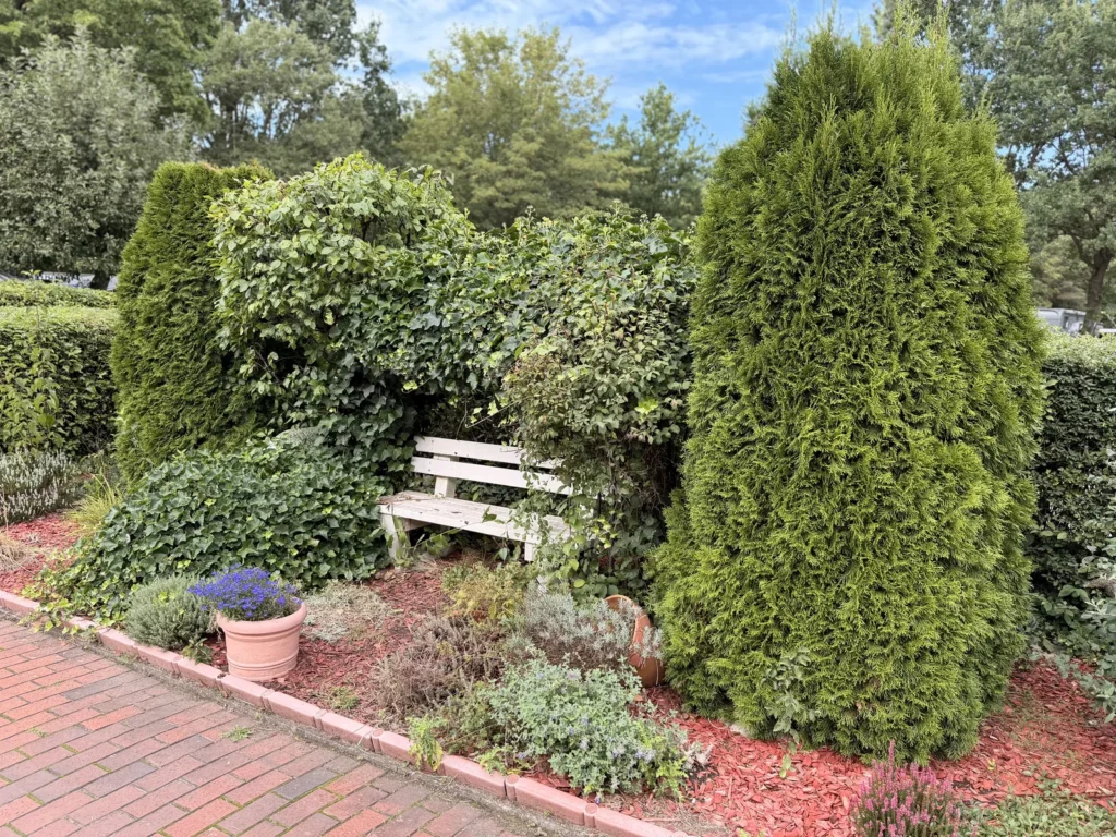 Geschnittene Hecke mit einer Holzbank und einem bepflanzten Beet im KNAUS Campingpark Hamburg.