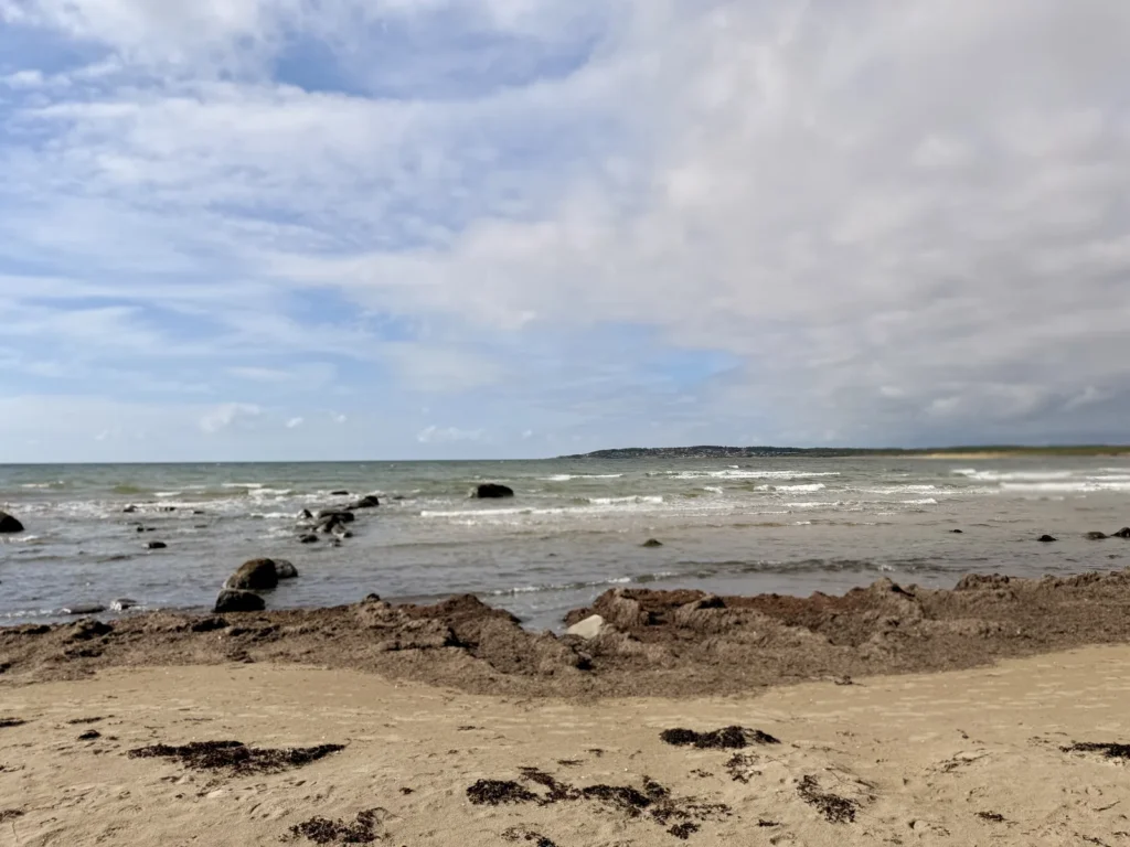 Flache Wellen laufen über einen steinigen Strandabschnitt, am Horizont eine bewaldete Landzunge mit Häusern.