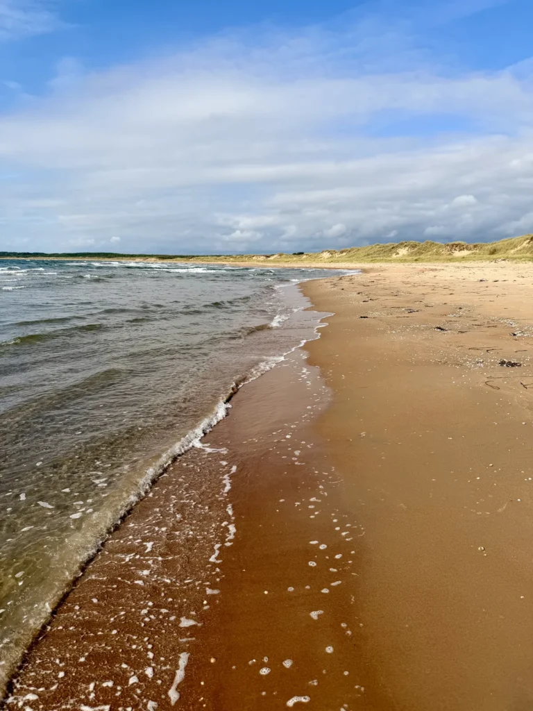 Auslaufende Wellen auf feinem Sand, rechts zieht sich der Strand zu den grasbewachsenen Dünen, im Hochformat aufgenommen.