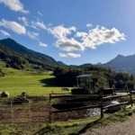 Weide mit Rindern am Samerberg, dahinter grüne Wiesen, Wald und Berge unter blauem Himmel mit Wolken