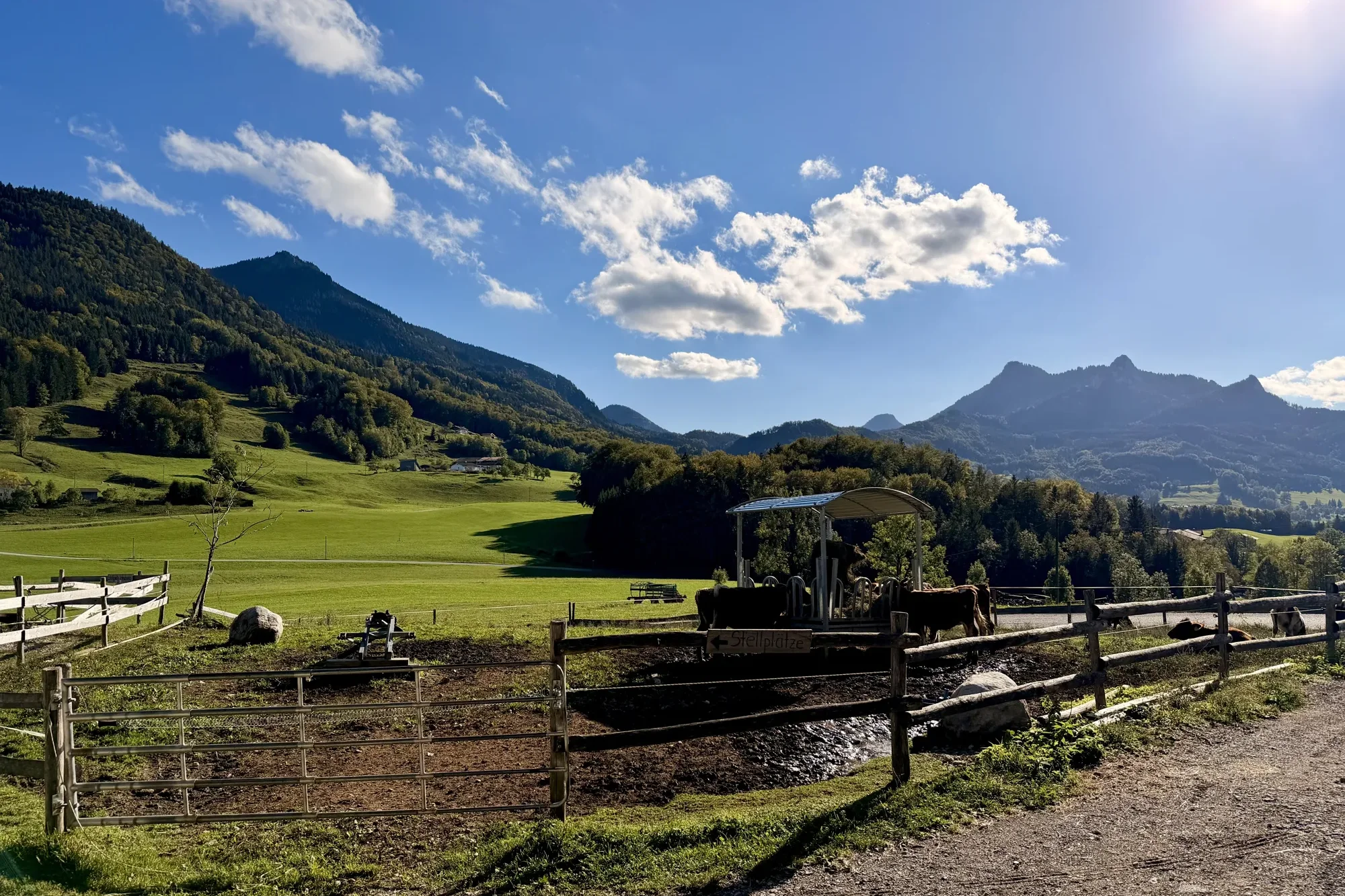 Weide mit Rindern am Samerberg, dahinter grüne Wiesen, Wald und Berge unter blauem Himmel mit Wolken