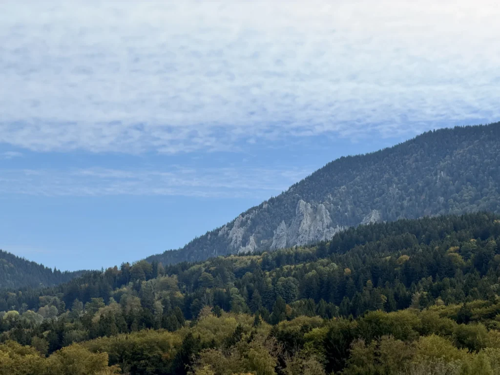 Helle Felswand an einem bewaldeten Berghang über herbstlich gefärbtem Mischwald