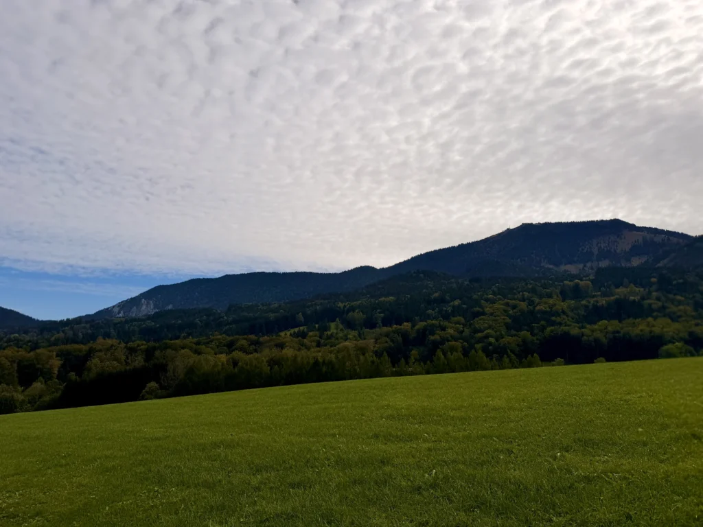 Grüne Wiese vor bewaldetem Hang und Berggipfel unter einem Himmel voller Schäfchenwolken