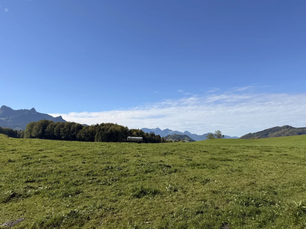 Weite Wiese am Samerberg unter blauem Himmel, am Horizont Waldstück und Bergkette