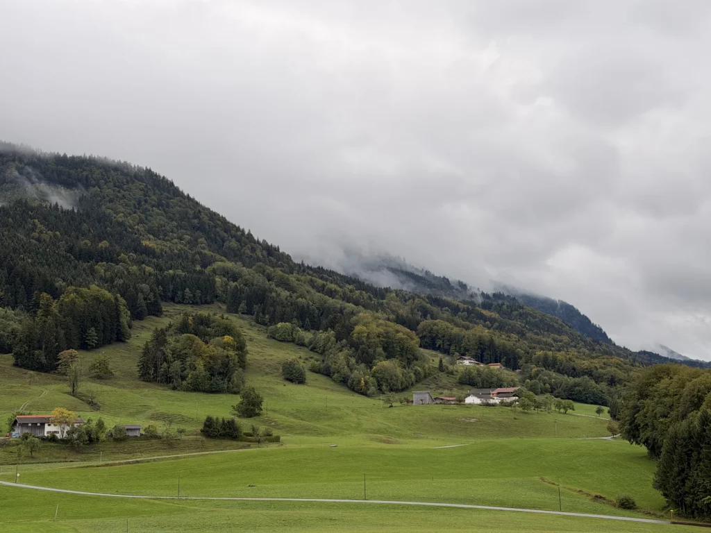 Grüne Wiesen und Bauernhöfe am Fuß eines bewaldeten Hangs, dessen Gipfel in den Wolken liegt