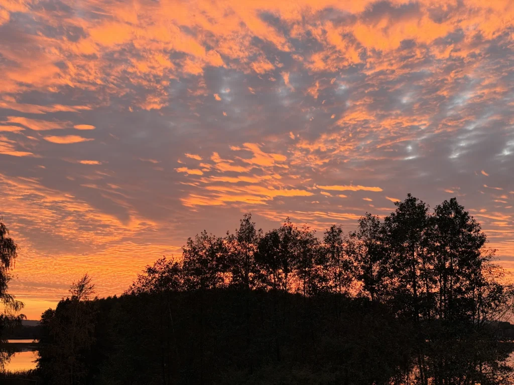 Silhouetten von Bäumen vor orange und grau gefärbten Wolken beim Sonnenuntergang am Steinberger See, links unten spiegelt sich der Himmel im Wasser