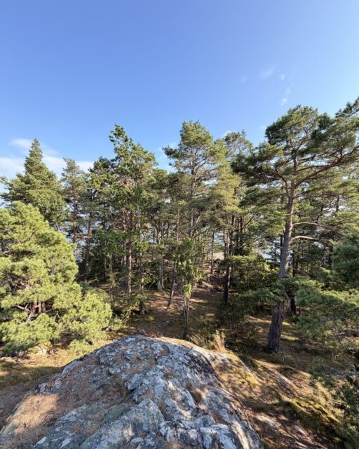 Noch einmal die Schären bei Västervik. Weiter oben auf dem Fels stehen