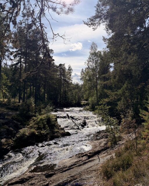 Nyfors, Dalarna. Diesen Wasserfall haben wir bei einer Wanderung entdeckt. Das Wasser