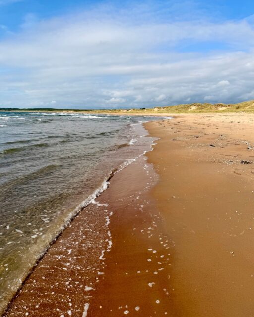 Kattegatküste bei Villshärad, nördlich von Halmstad. Der Sand liegt an der Wasserkante