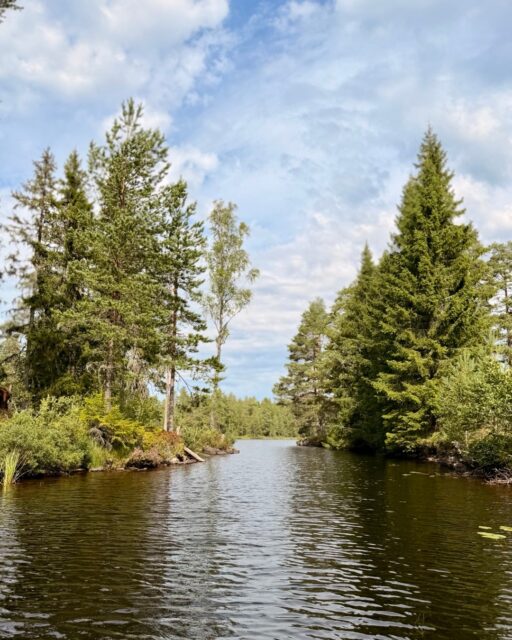 Nyfors, Dalarna. Heute mit dem Kanu raus. Zwischen den Uferzungen wird das